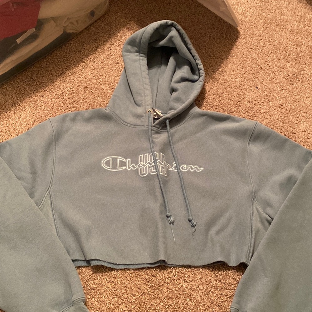 Champions reverse weave cropped hoodie